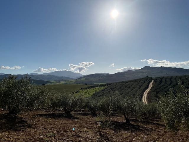 Grunde uden byggetilladelser til salg i Coín - € 60.000 (Ref: 8777847)