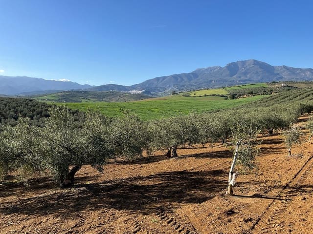 Grunde uden byggetilladelser til salg i Coín - € 60.000 (Ref: 8777847)