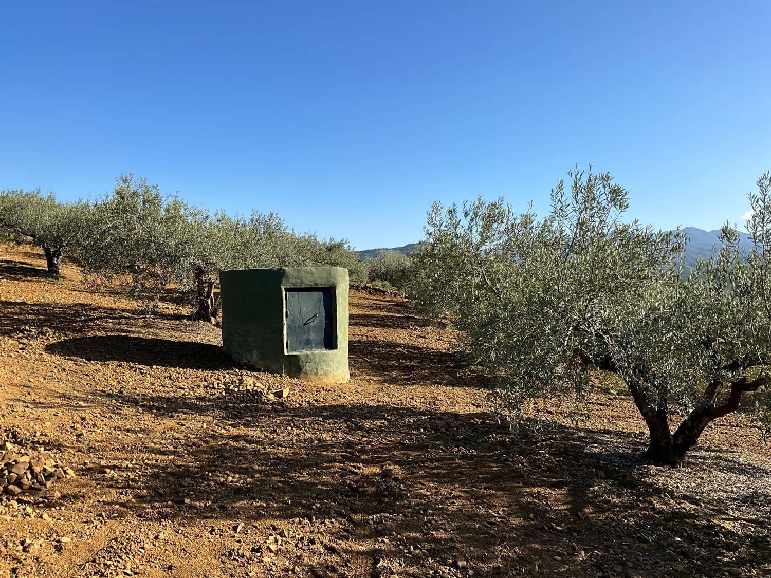 Ubebygd land til salgs i Coin - € 60 000 (Ref: 8777847)