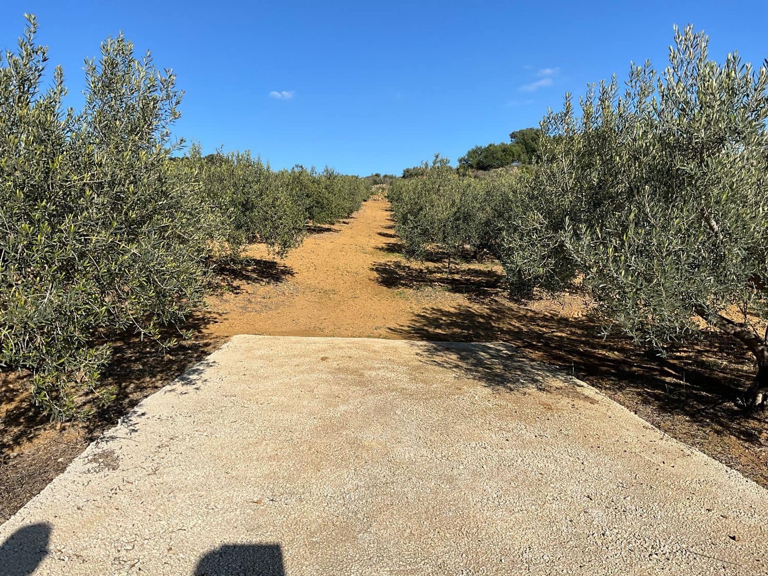 Ubebygd land til salgs i Coin - € 60 000 (Ref: 8777847)