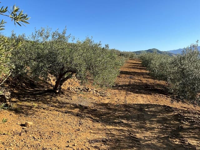 Grunde uden byggetilladelser til salg i Coín - € 60.000 (Ref: 8777847)