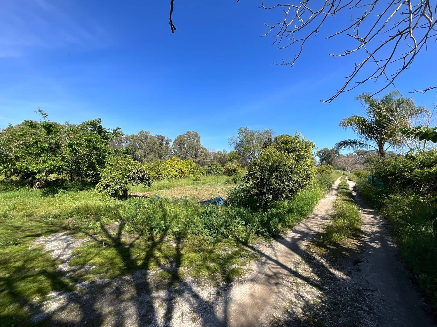 3 sypialnia Finka/Dom wiejski na sprzedaż w Coin z basenem garażem - 350 000 € (Ref: 9111777)