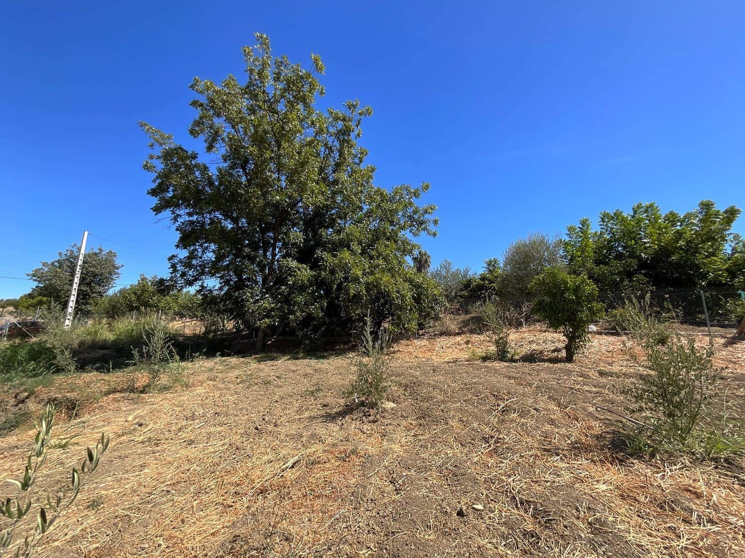 1 quarto Quinta/Casa Rural para venda em Coin com garagem - 199 000 € (Ref: 9202111)