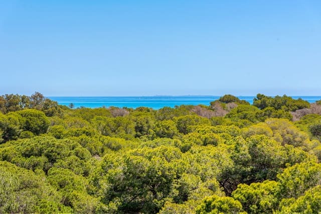 2 makuuhuone Huoneisto myytävänä paikassa Puerto Deportivo, Guardamar del Segura mukana uima-altaan 
autotalli - 309 000 € (Ref: 9163723)