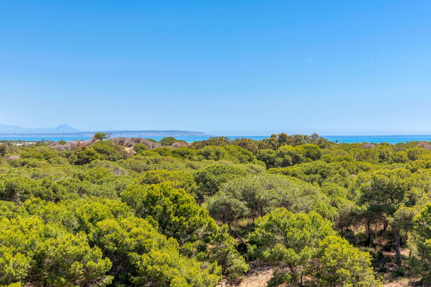 2 chambre Appartement à vendre à Guardamar del Segura avec piscine garage - 309 000 € (Ref: 9163723)