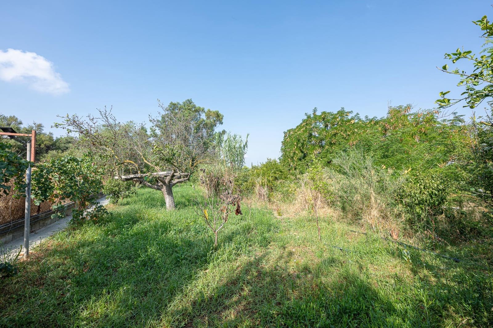 5 soveværelse Finca/Landehus til salg i Cartama - € 398.000 (Ref: 9192433)