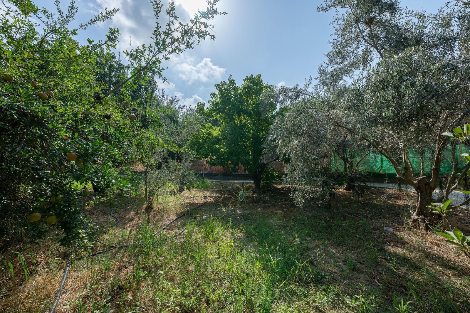 5 soveværelse Finca/Landehus til salg i Cartama - € 398.000 (Ref: 9192433)