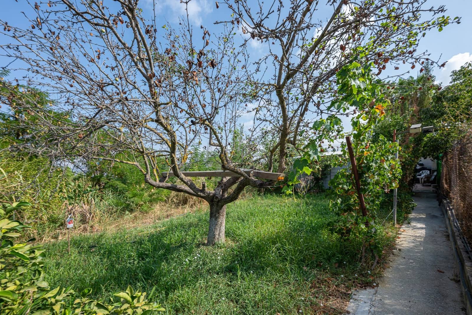 5 bedroom Finca/Country House for sale in Cartama - € 398,000 (Ref: 9192433)