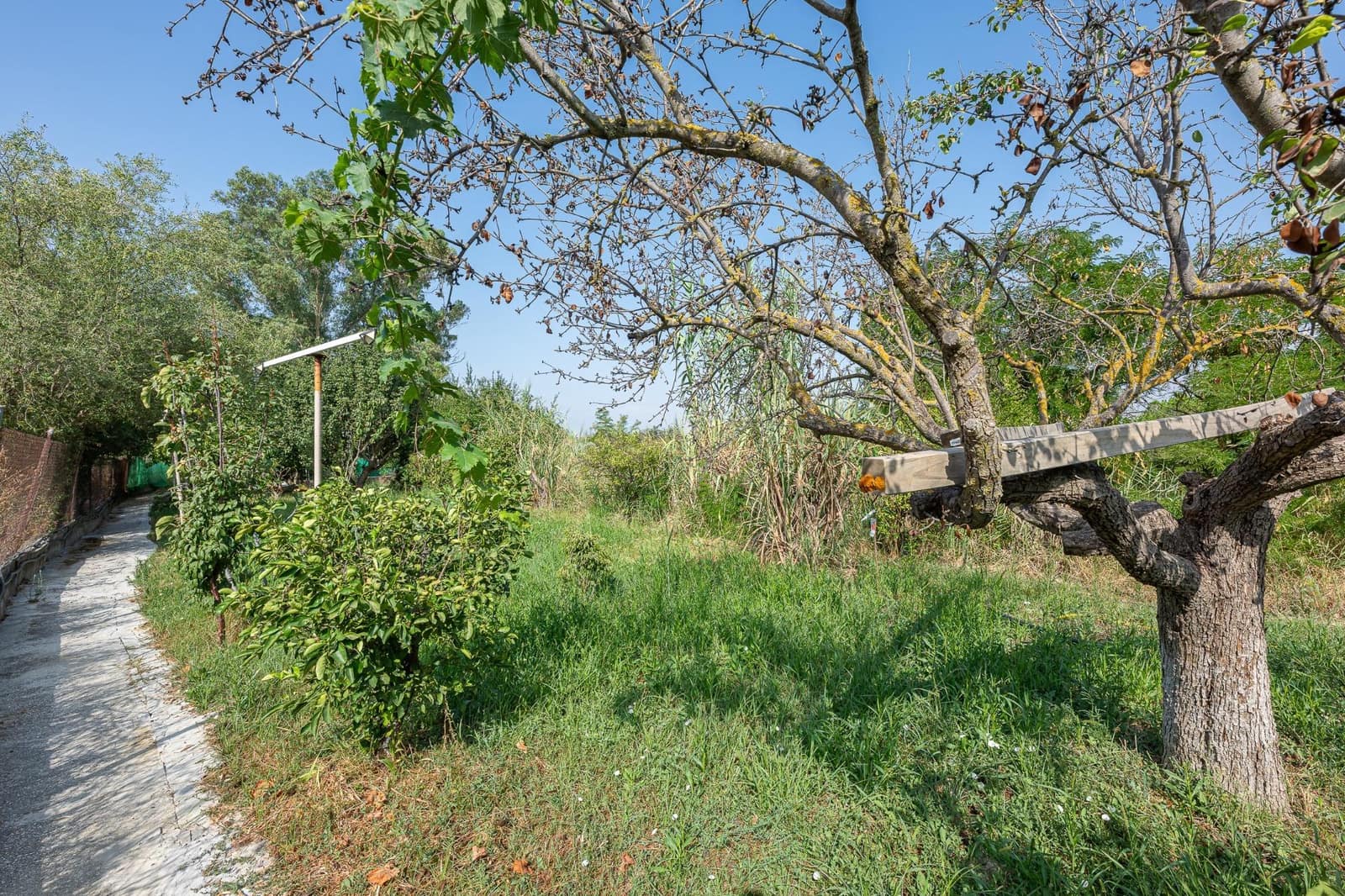 5 bedroom Finca/Country House for sale in Cartama - € 398,000 (Ref: 9192433)