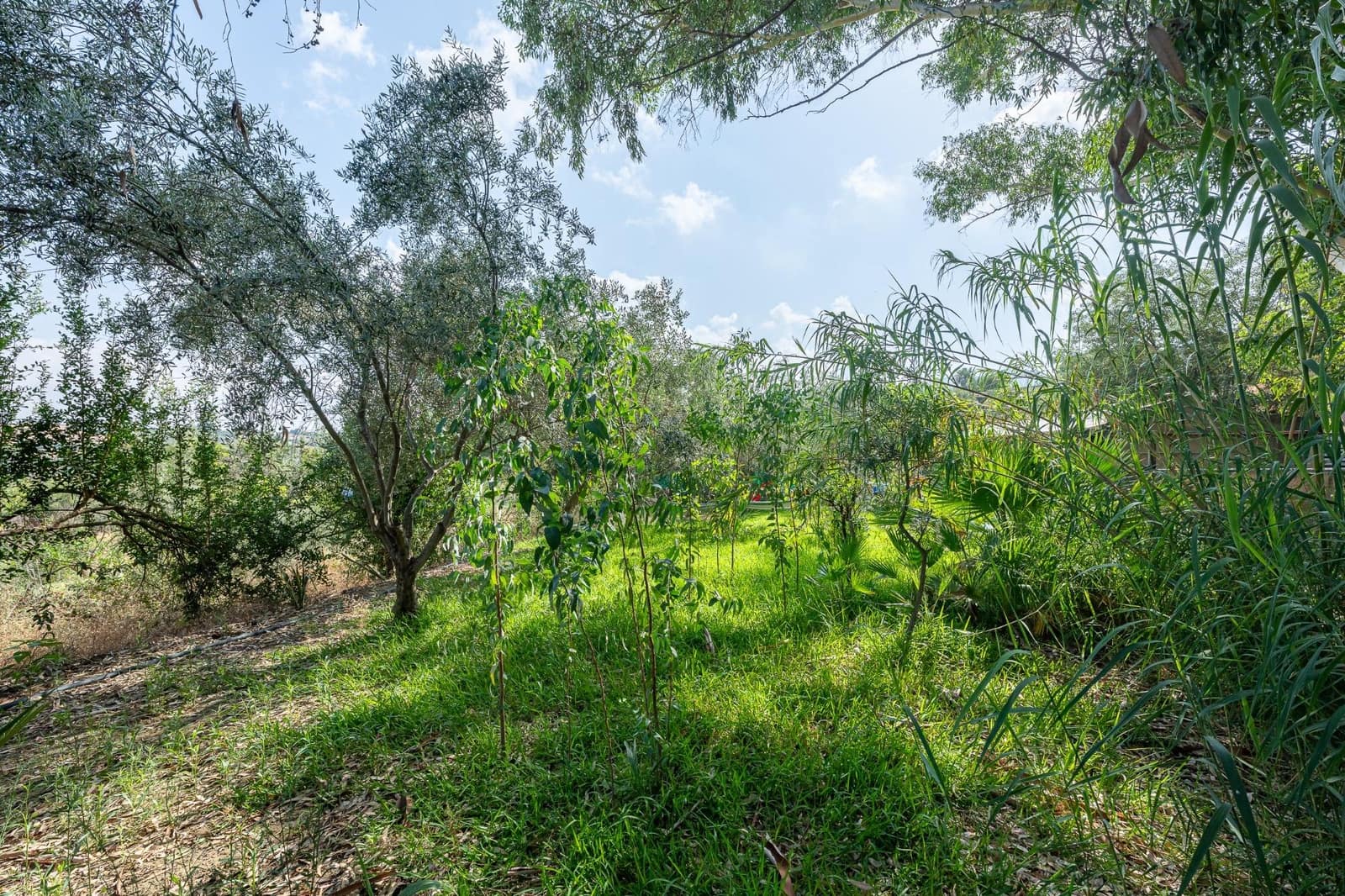 5 bedroom Finca/Country House for sale in Cartama - € 398,000 (Ref: 9192433)