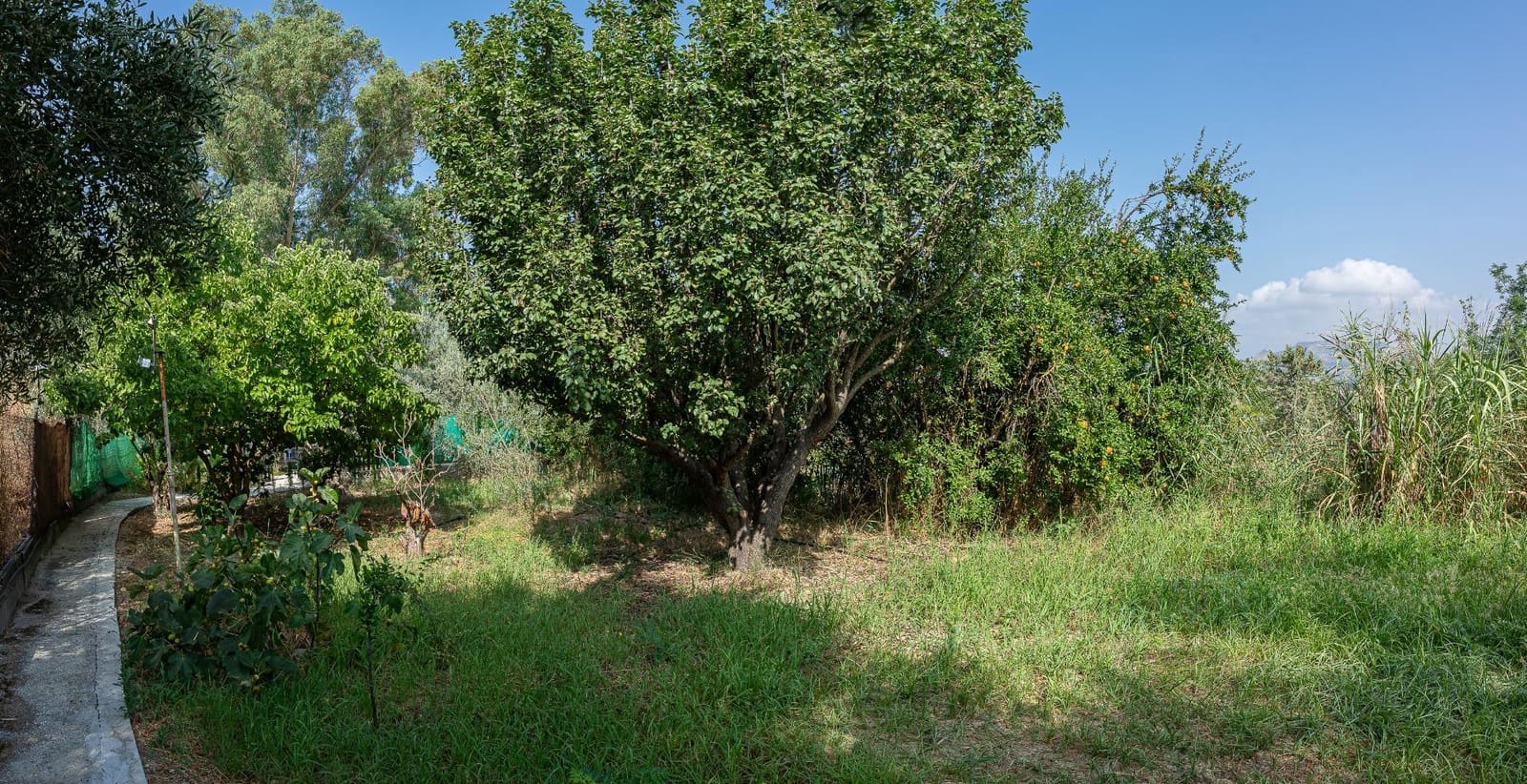 5 bedroom Finca/Country House for sale in Cartama - € 398,000 (Ref: 9192433)