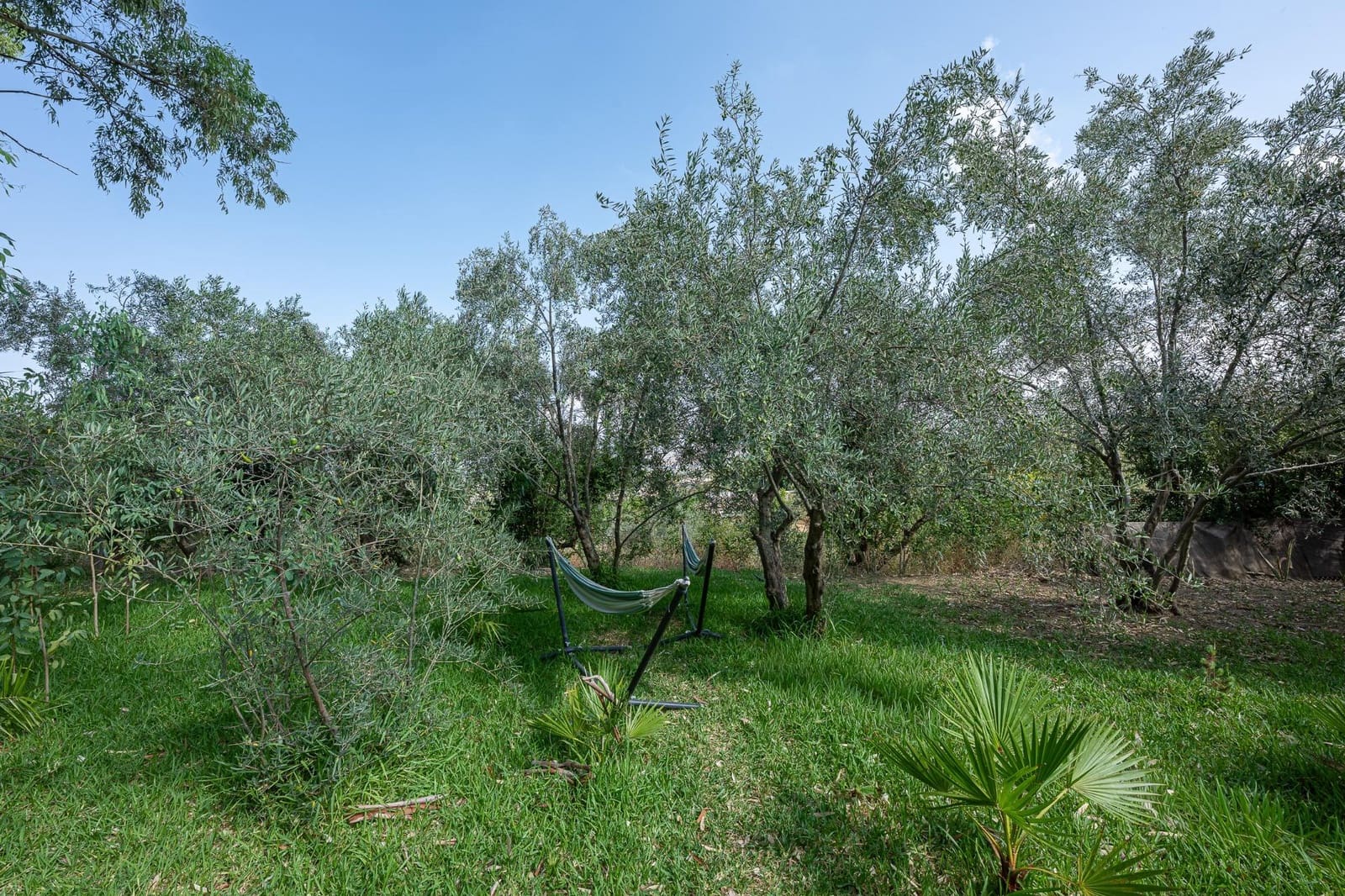 5 bedroom Finca/Country House for sale in Cartama - € 398,000 (Ref: 9192433)