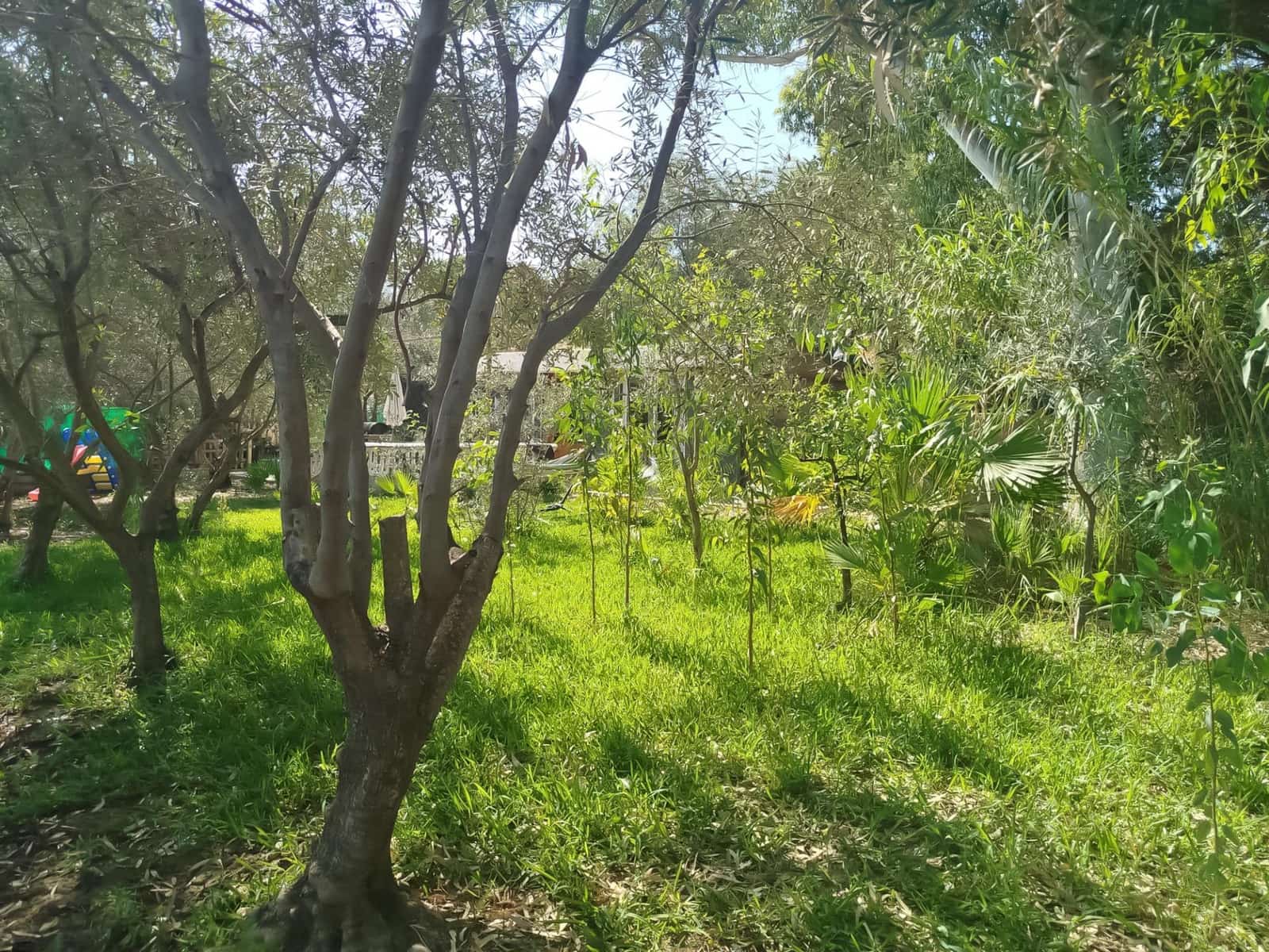 5 bedroom Finca/Country House for sale in Cartama - € 398,000 (Ref: 9192433)