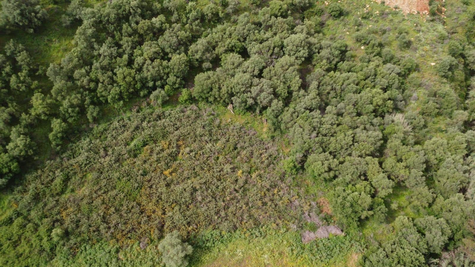 Grond te koop in Mijas - € 280.000 (Ref: 9780677)