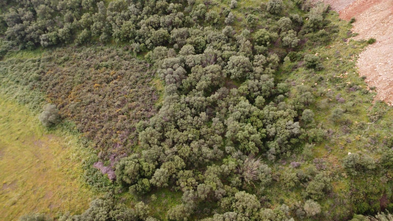 Grond te koop in Mijas - € 280.000 (Ref: 9780677)