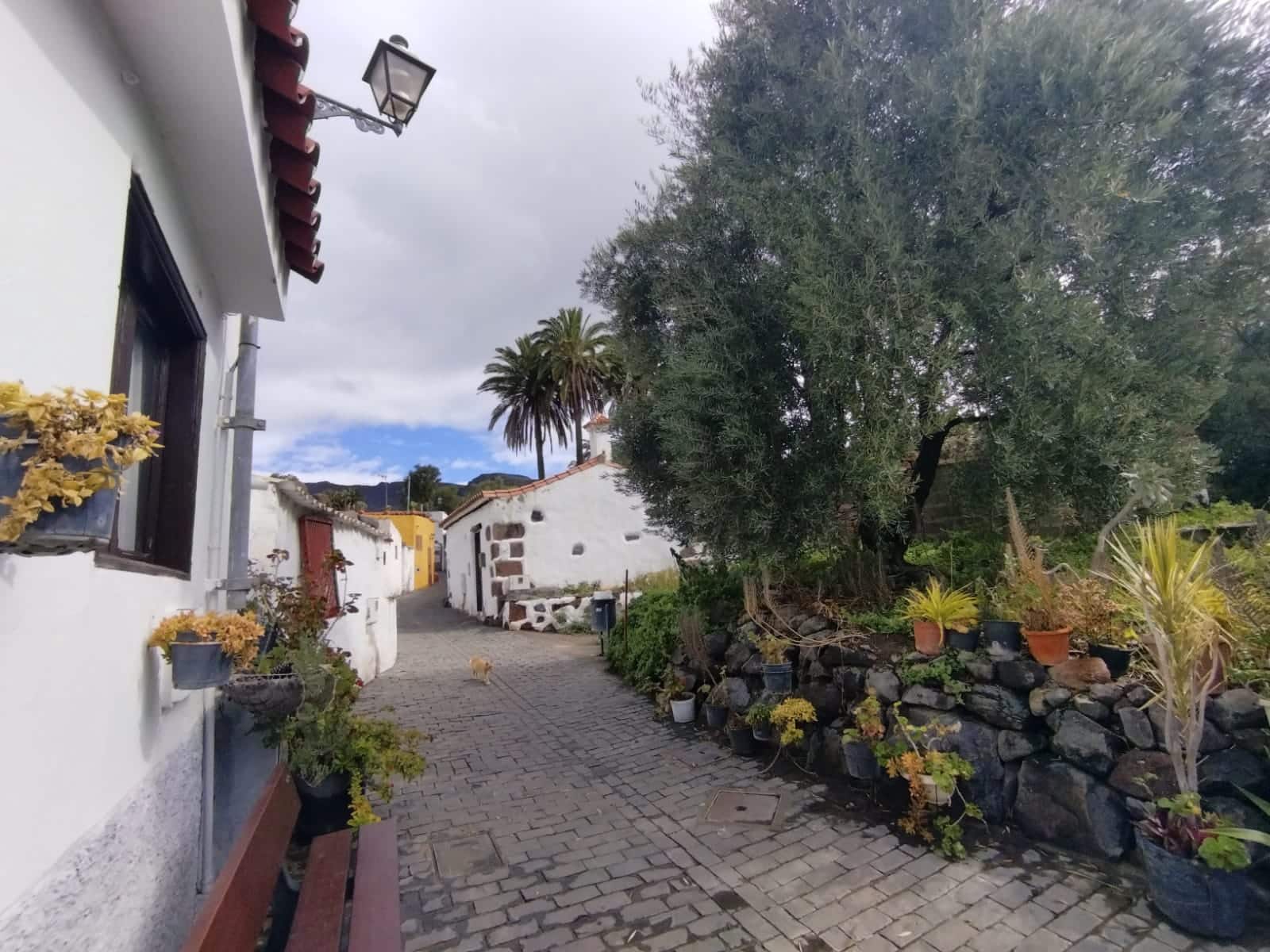 1 camera da letto Finca/Casa di Campagna da affittare in Santa Lucia de Tirajana - 700 € (Rif: 7389856)