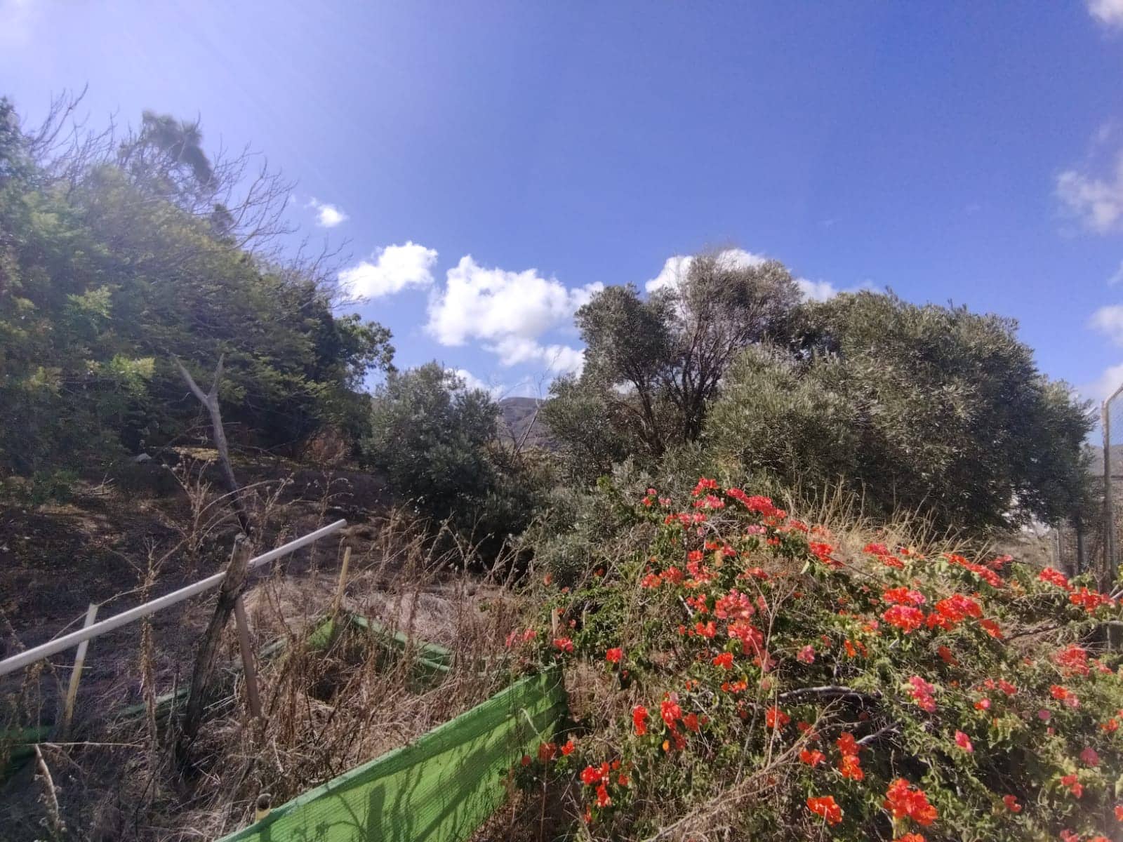 4 camera da letto Finca/Casa di Campagna in vendita in Santa Maria de Guia de Gran Canaria con garage - 439.000 € (Rif: 7852466)