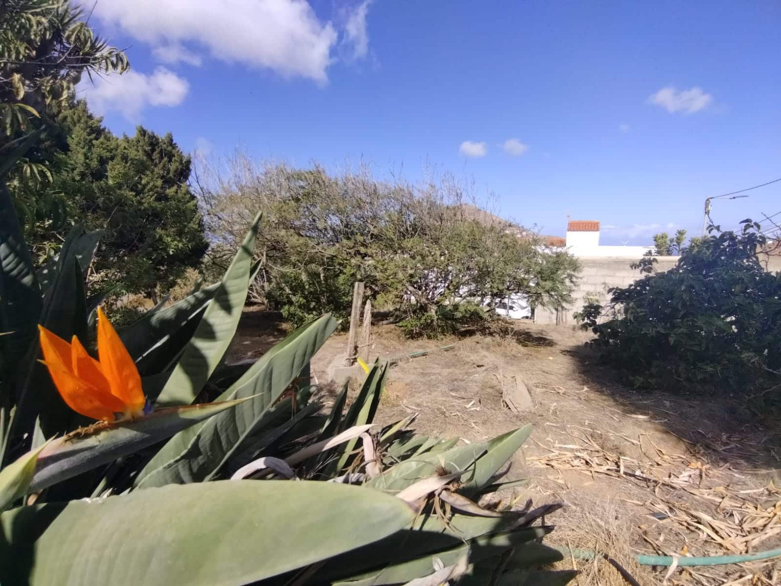 4 soveværelse Villa til salg i Santa Maria de Guia de Gran Canaria med garage - € 439.000 (Ref: 7856301)