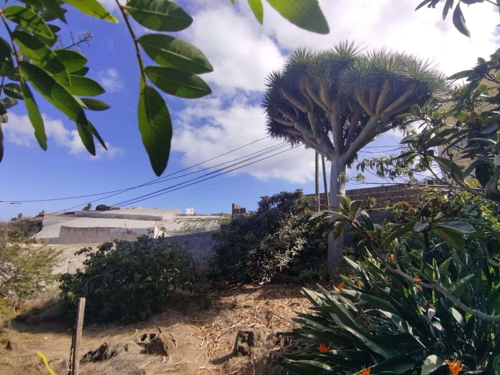 4 soveværelse Villa til salg i Santa Maria de Guia de Gran Canaria med garage - € 439.000 (Ref: 7856301)