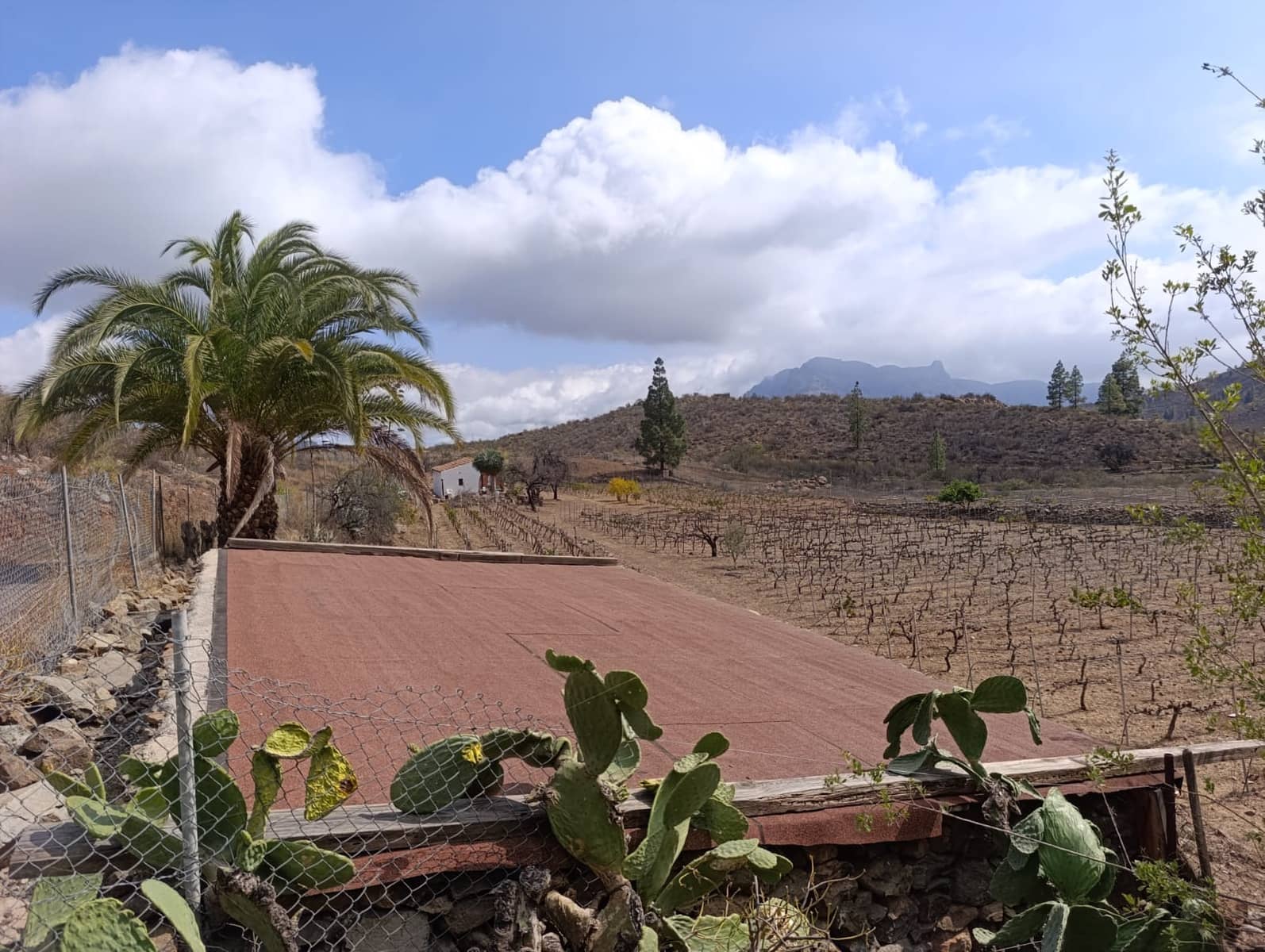 1 soverom Finca/Herregård til salgs i San Bartolome de Tirajana - € 129 000 (Ref: 8468623)