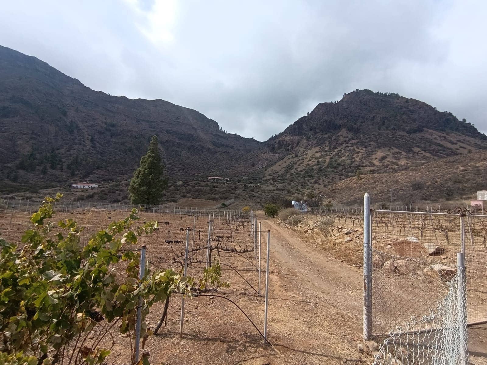 1 soverom Finca/Herregård til salgs i San Bartolome de Tirajana - € 129 000 (Ref: 8468623)