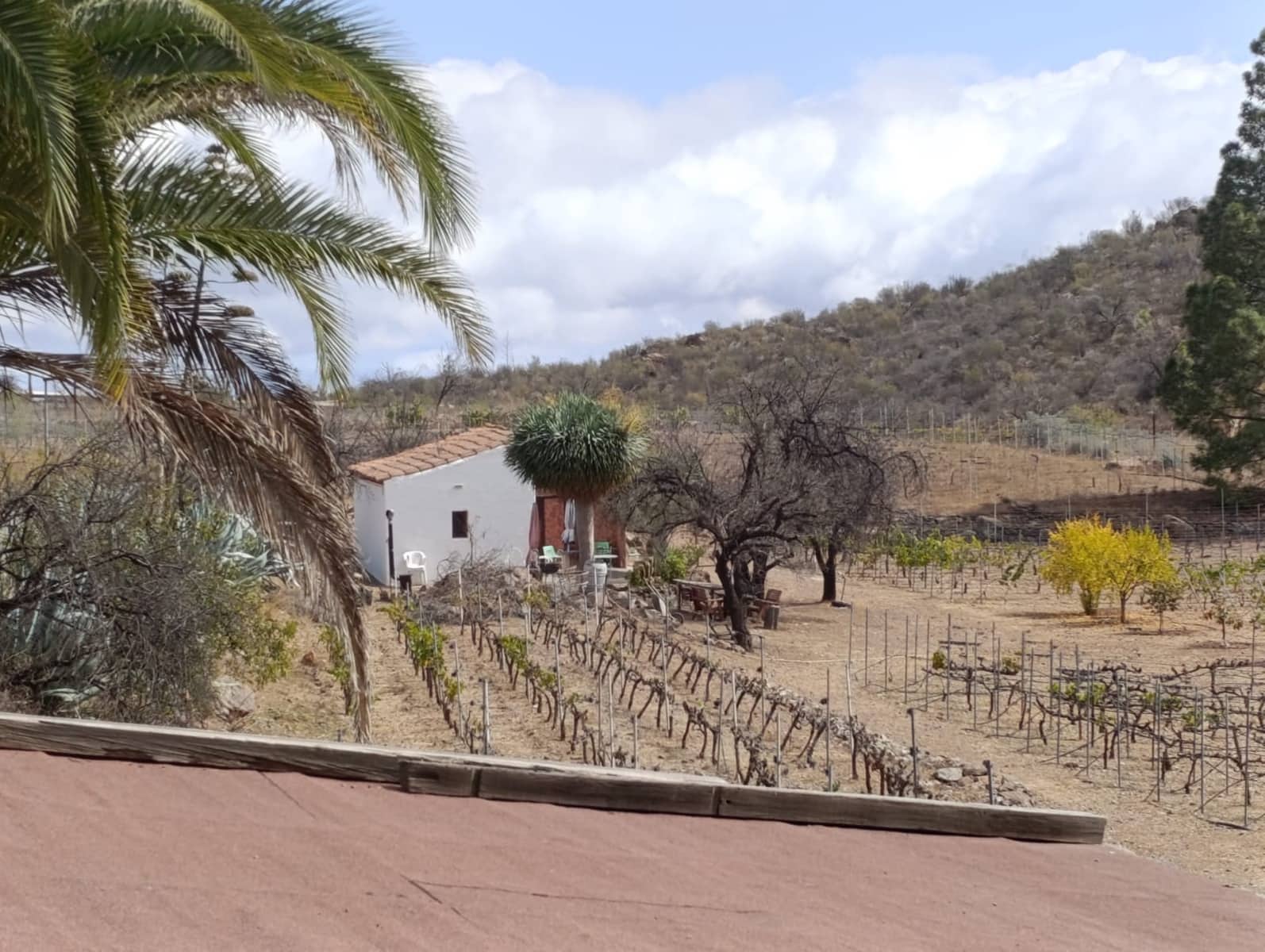 1 soverom Finca/Herregård til salgs i San Bartolome de Tirajana - € 129 000 (Ref: 8468623)