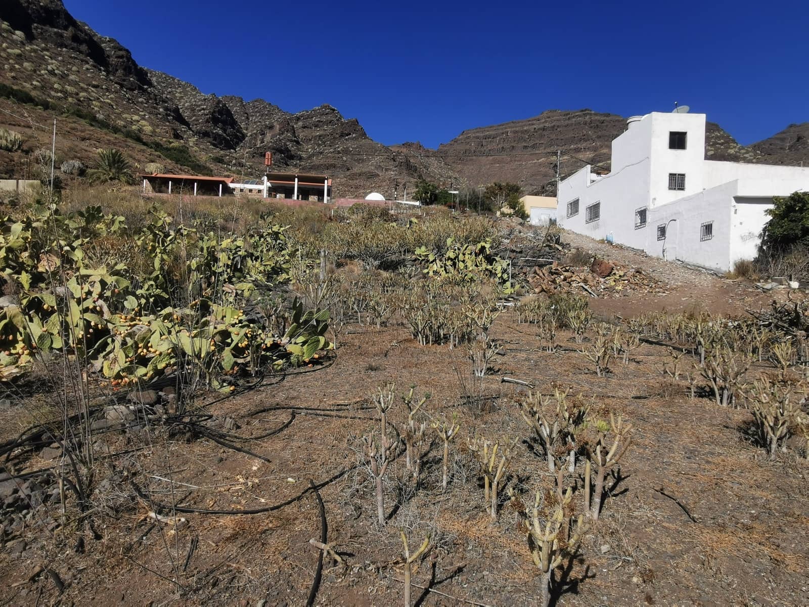 4 soverom Villa til salgs i La Aldea de San Nicolas med svømmebasseng garasje - € 245 000 (Ref: 8789865)