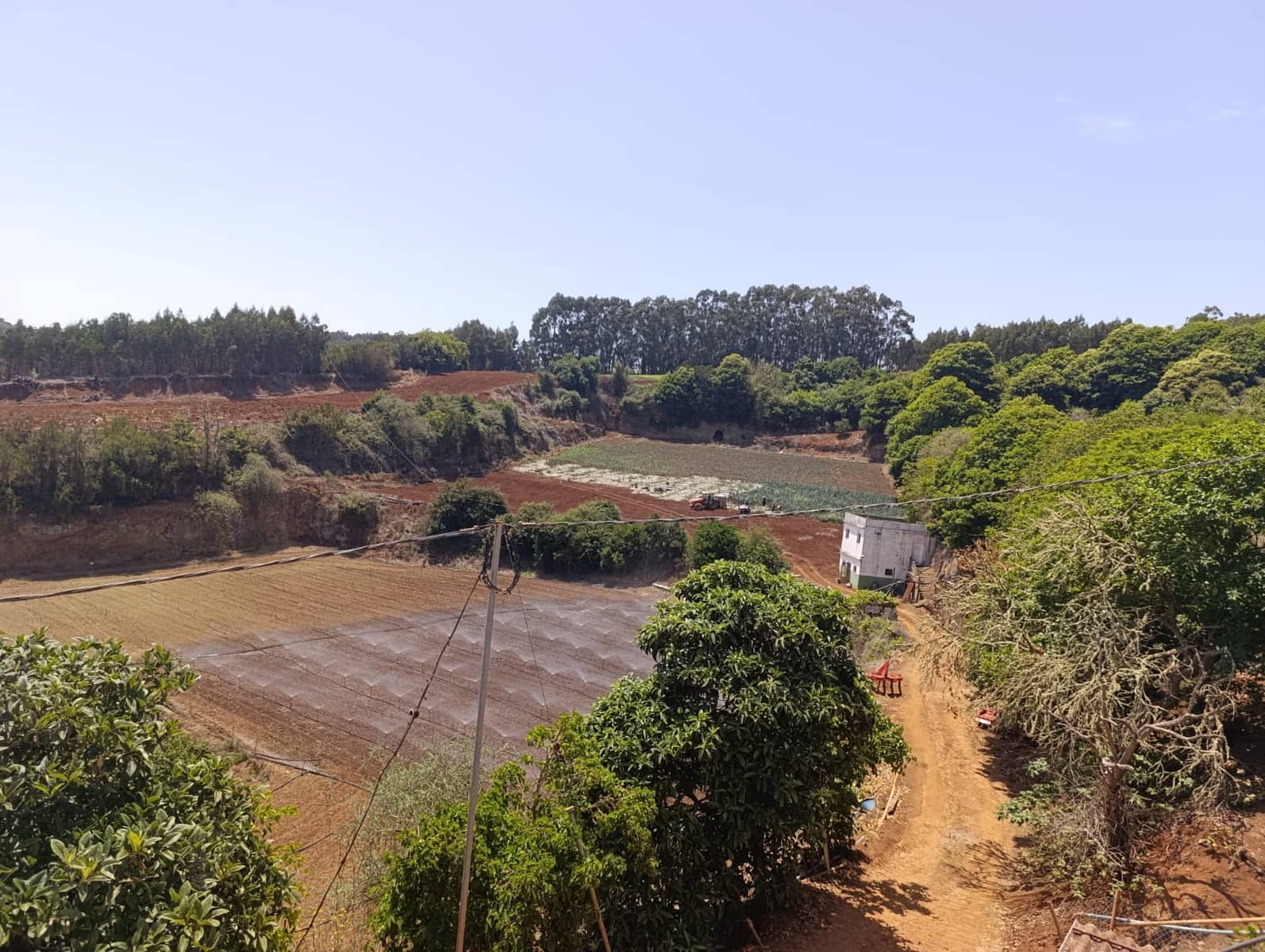 4 soveværelse Finca/Landehus til salg i Moya med garage - € 525.000 (Ref: 9148788)