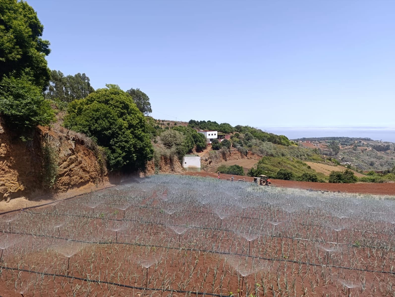 4 soveværelse Finca/Landehus til salg i Moya med garage - € 525.000 (Ref: 9148788)