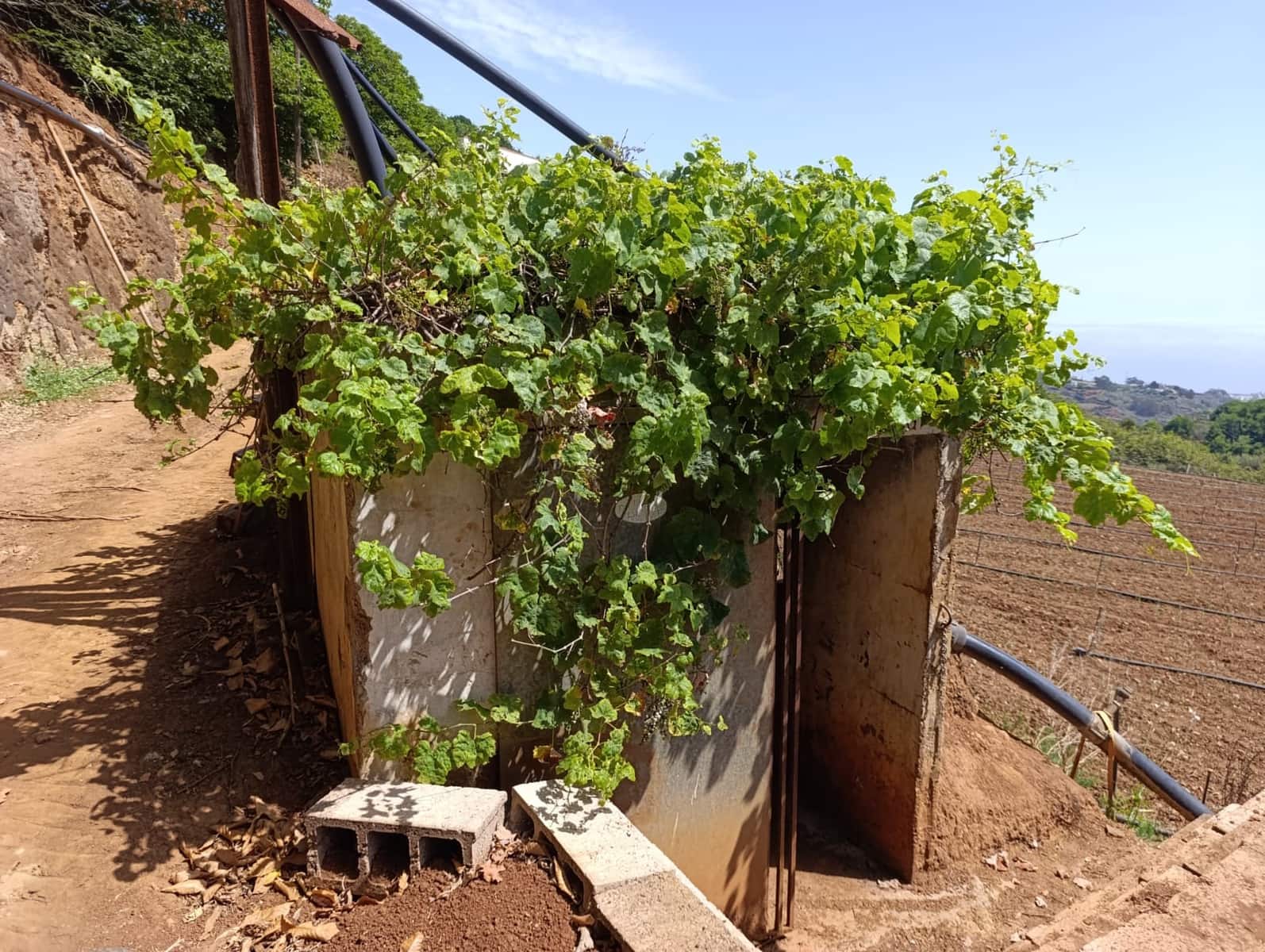 4 soveværelse Finca/Landehus til salg i Moya med garage - € 525.000 (Ref: 9148788)