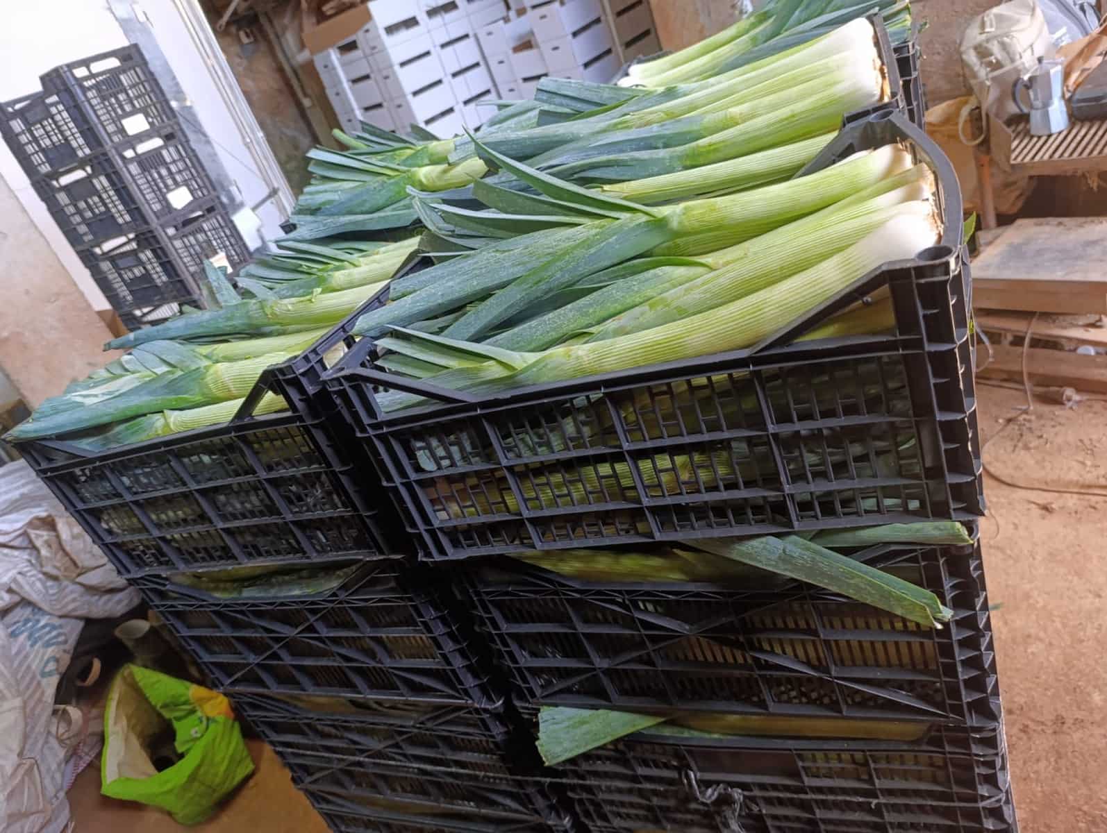 4 soveværelse Finca/Landehus til salg i Moya med garage - € 525.000 (Ref: 9148788)