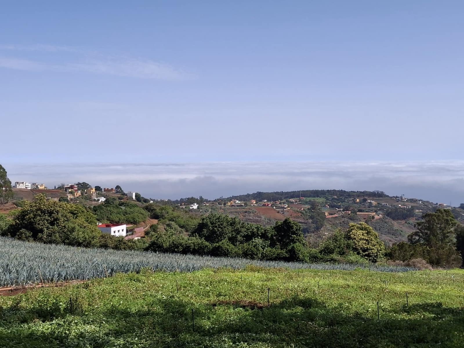 4 soveværelse Finca/Landehus til salg i Moya med garage - € 525.000 (Ref: 9148788)