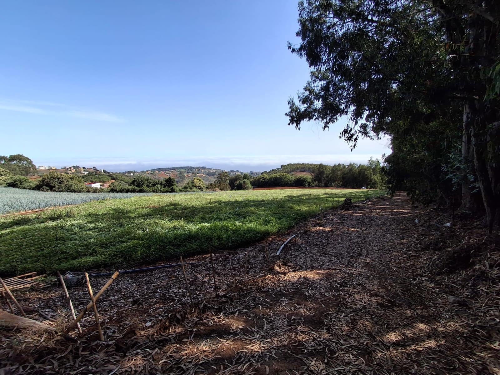 4 soveværelse Finca/Landehus til salg i Moya med garage - € 525.000 (Ref: 9148788)