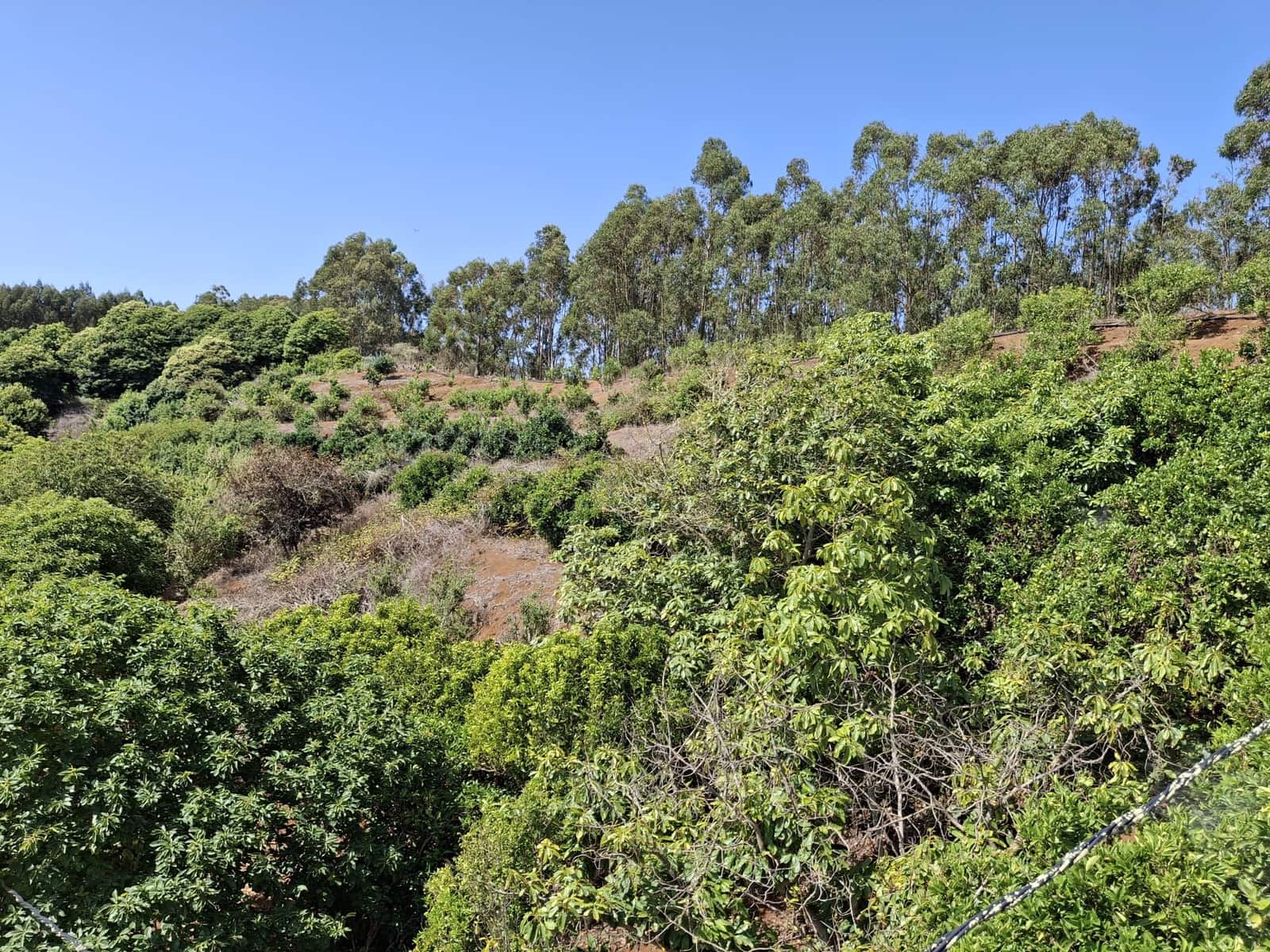 4 soveværelse Finca/Landehus til salg i Moya med garage - € 525.000 (Ref: 9148788)