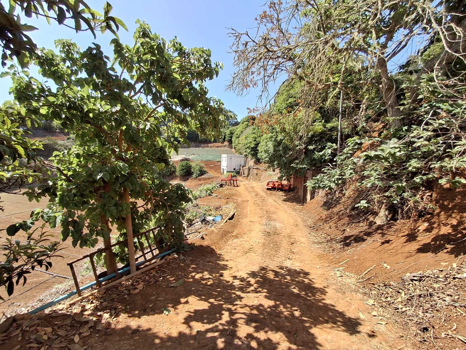 4 soveværelse Finca/Landehus til salg i Moya med garage - € 525.000 (Ref: 9148788)