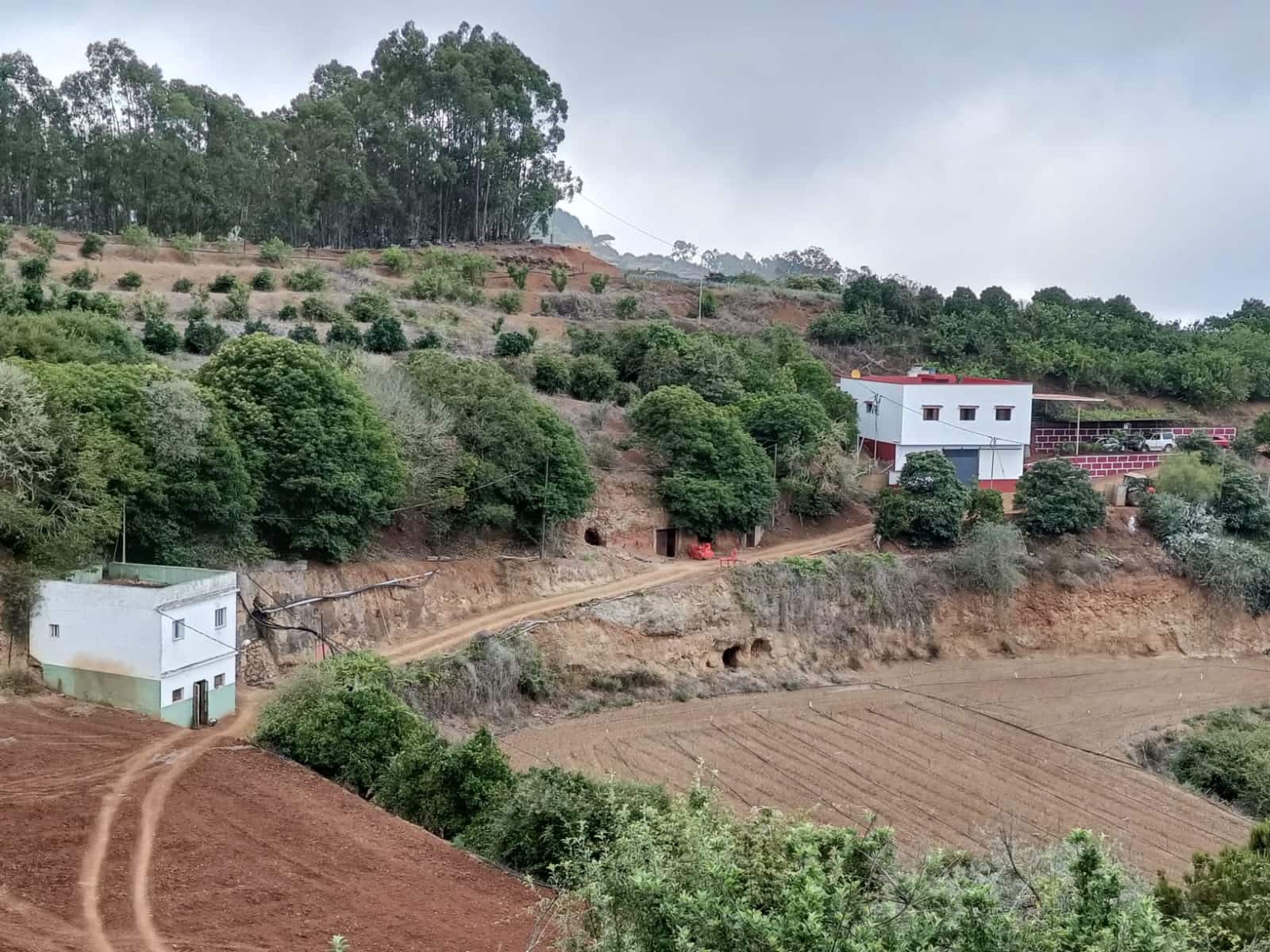 4 soveværelse Finca/Landehus til salg i Moya med garage - € 525.000 (Ref: 9148788)