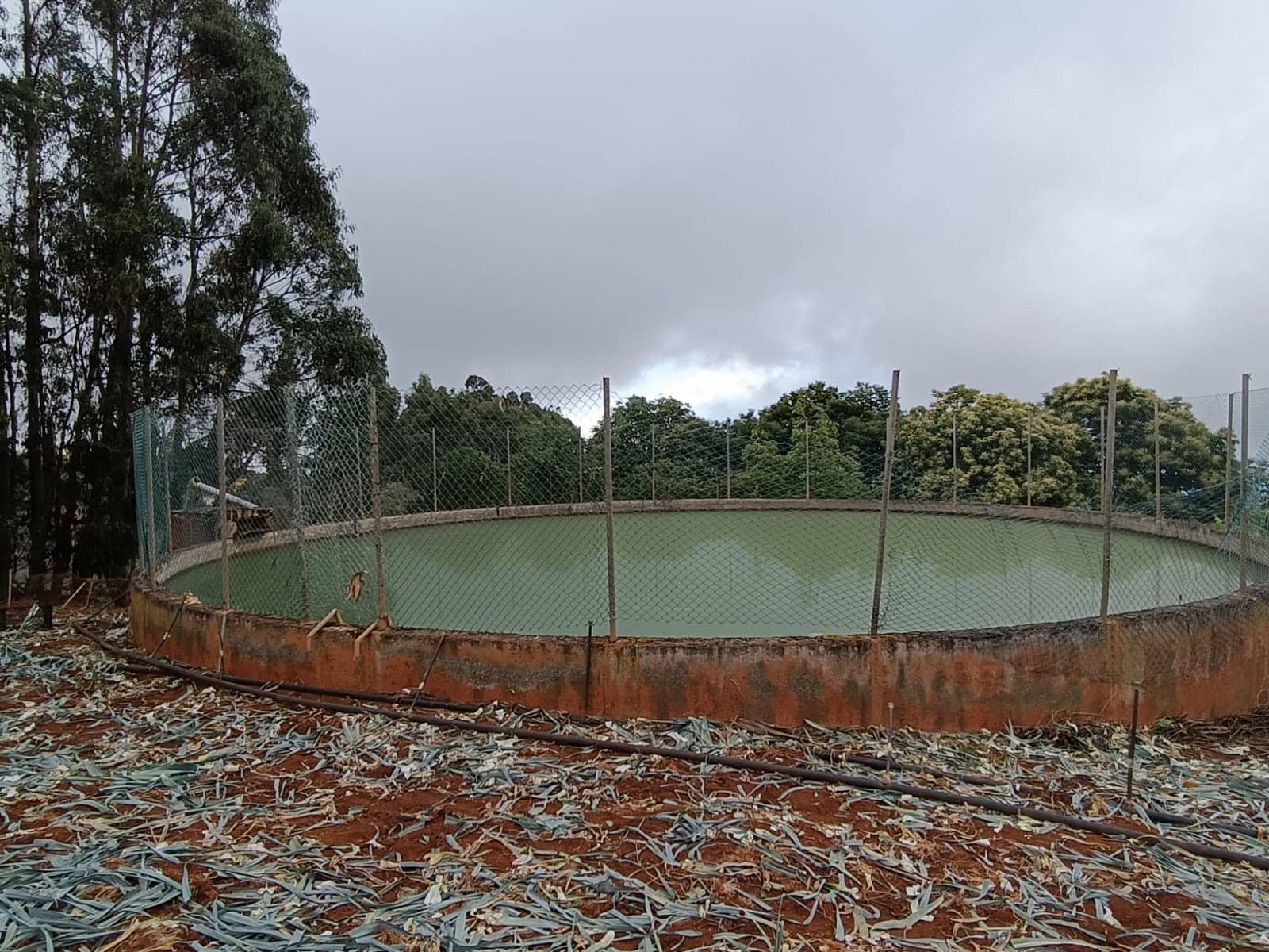 4 soveværelse Finca/Landehus til salg i Moya med garage - € 525.000 (Ref: 9148788)