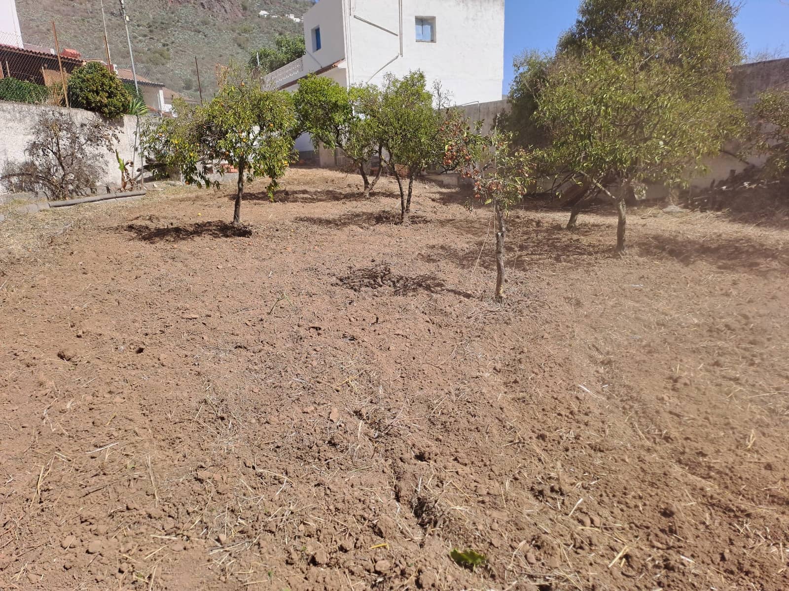 4 bedroom Finca/Country House for sale in Vega de San Mateo with pool garage - € 448,000 (Ref: 9270401)