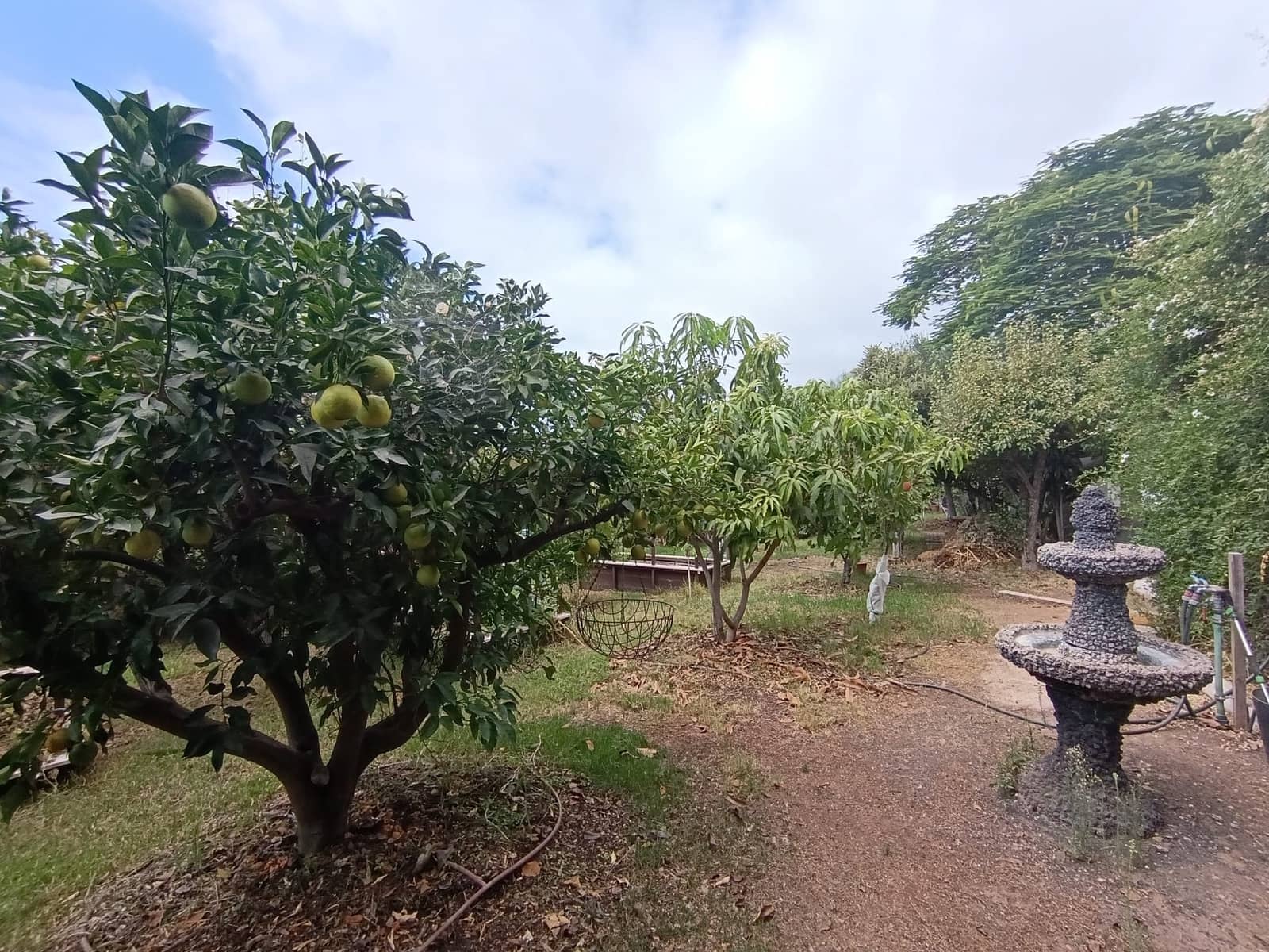 4 soverom Finca/Herregård til salgs i Santa Lucia de Tirajana med svømmebasseng garasje - € 575 000 (Ref: 9308997)