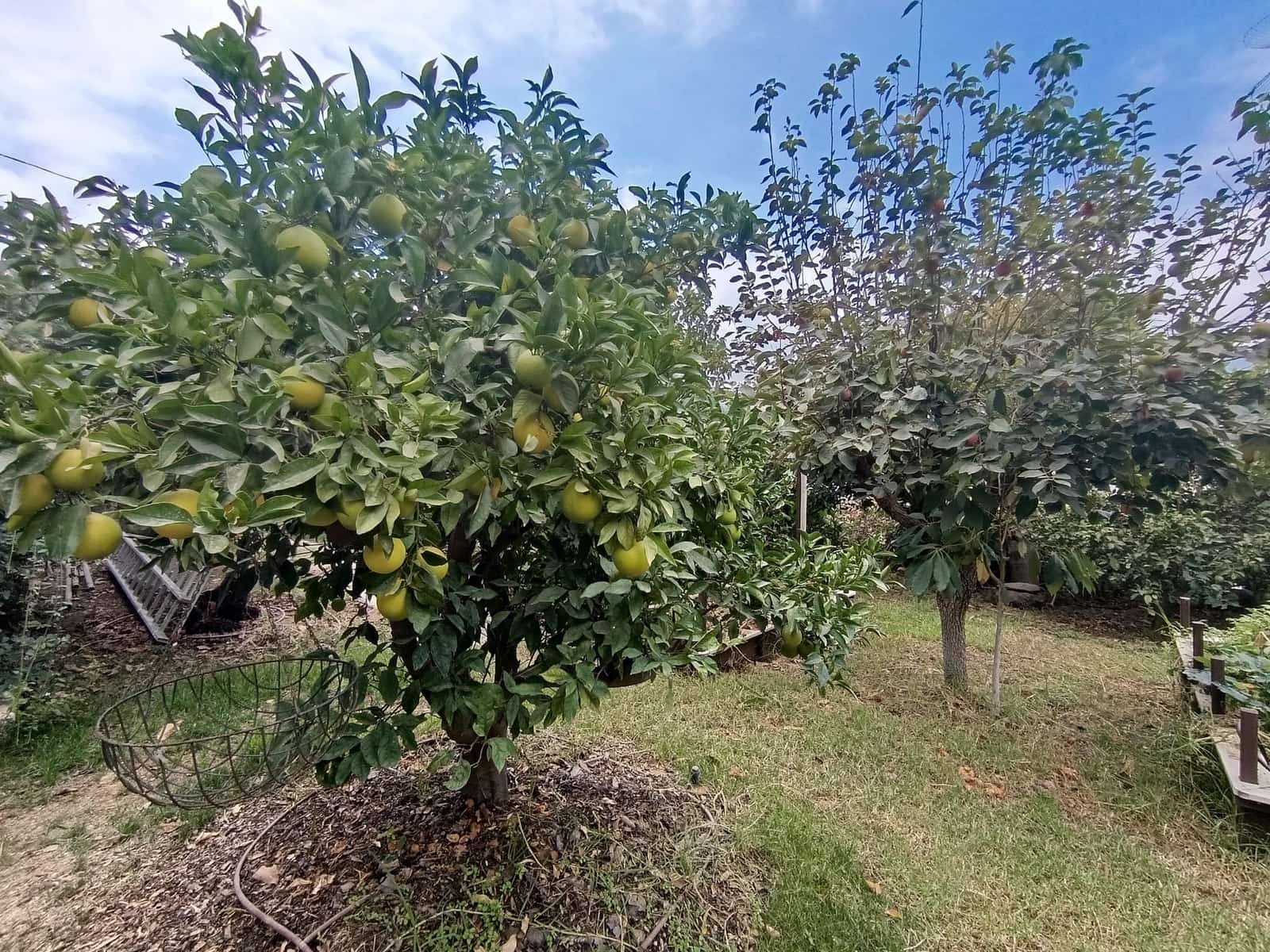 4 soverom Finca/Herregård til salgs i Santa Lucia de Tirajana med svømmebasseng garasje - € 575 000 (Ref: 9308997)