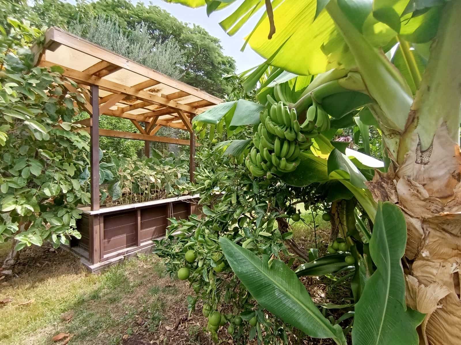 4 soverom Finca/Herregård til salgs i Santa Lucia de Tirajana med svømmebasseng garasje - € 575 000 (Ref: 9308997)