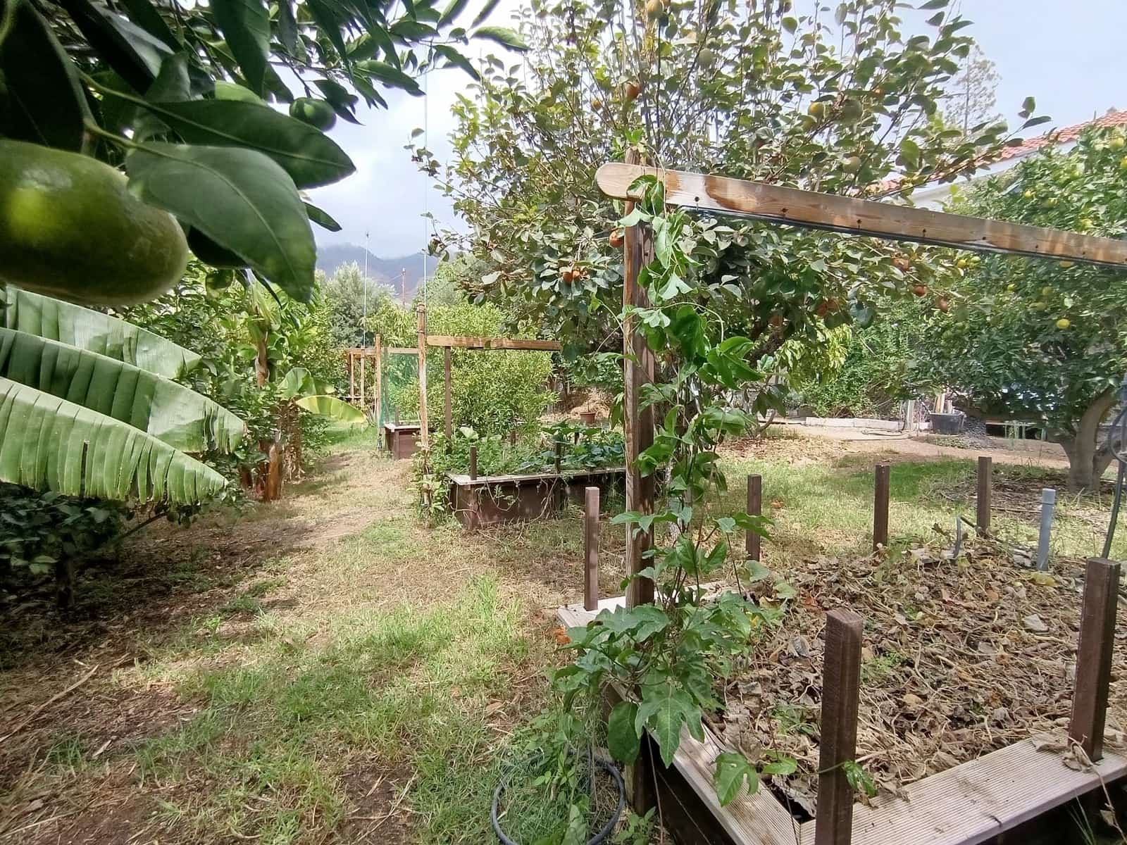 4 soverom Finca/Herregård til salgs i Santa Lucia de Tirajana med svømmebasseng garasje - € 575 000 (Ref: 9308997)