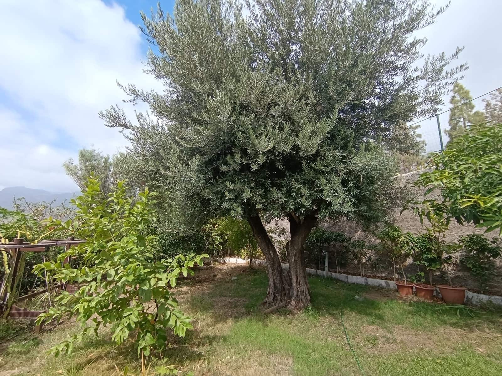 4 soverom Finca/Herregård til salgs i Santa Lucia de Tirajana med svømmebasseng garasje - € 575 000 (Ref: 9308997)