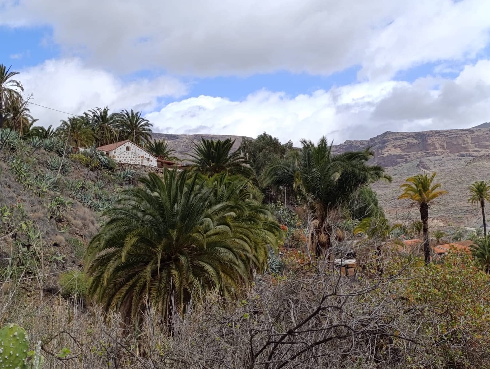 3 soverom Finca/Herregård til salgs i San Bartolome de Tirajana med garasje - € 232 000 (Ref: 9409735)