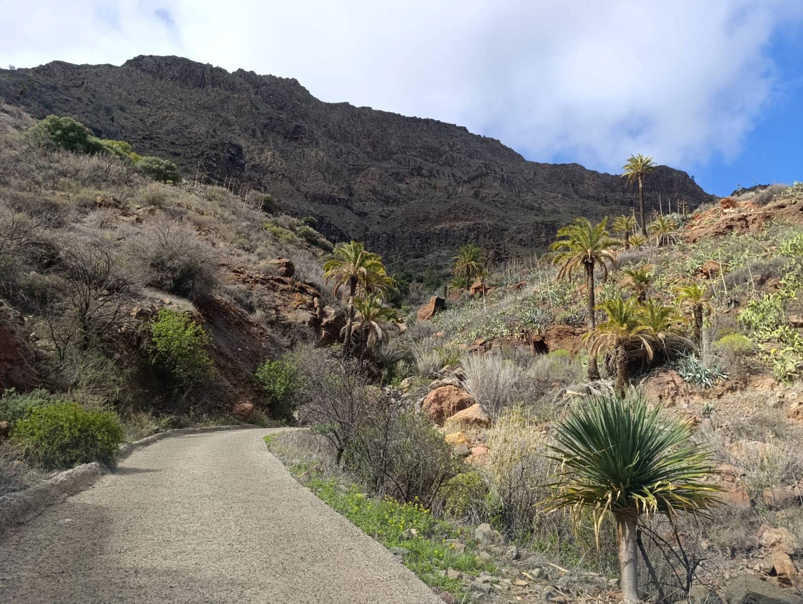 3 soverom Finca/Herregård til salgs i San Bartolome de Tirajana med garasje - € 232 000 (Ref: 9409735)