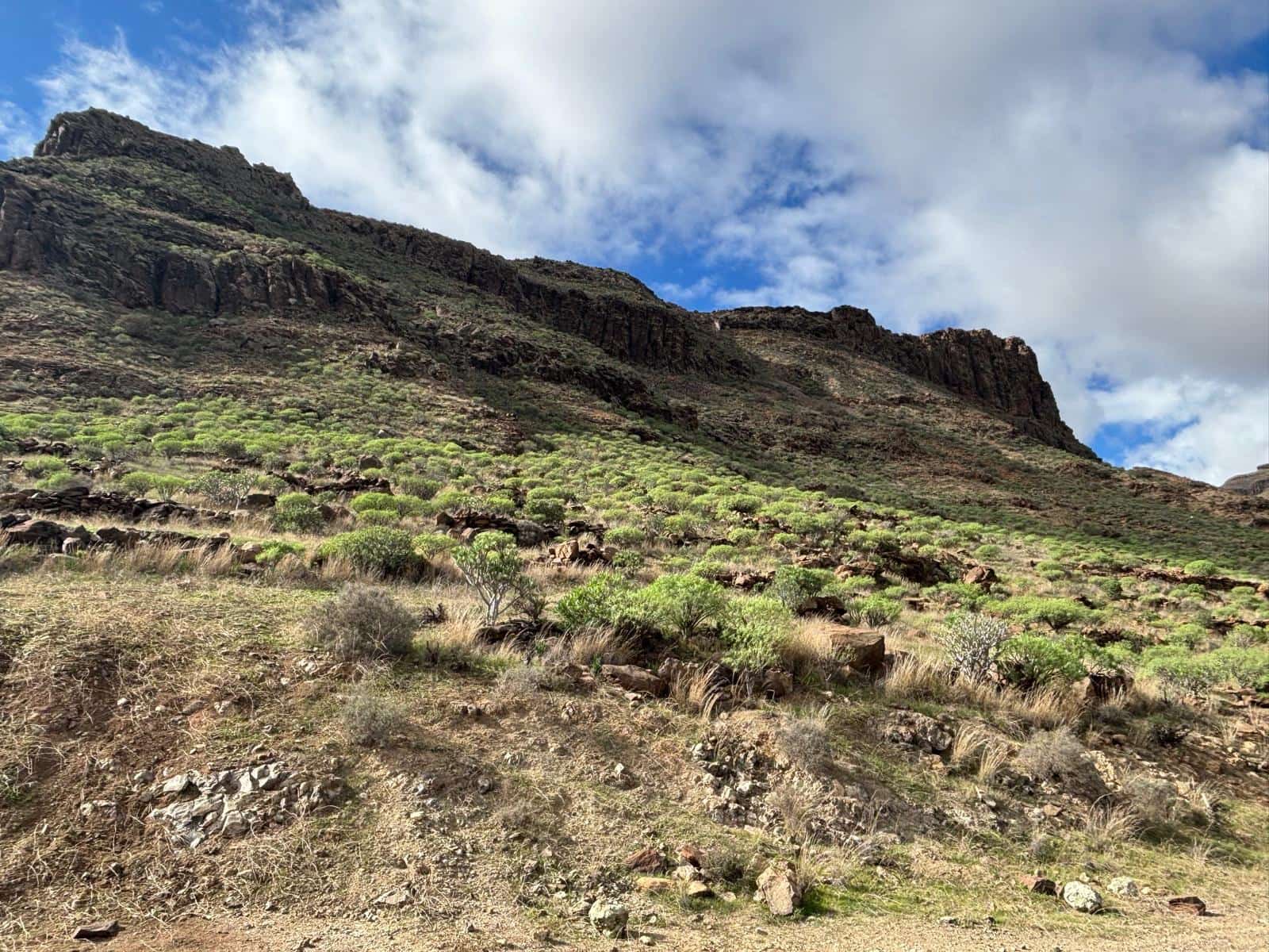 Finca/Casa Rural de 2 habitaciones en Santa Lucía de Tirajana en alquiler - 690 € (Ref: 9443029)