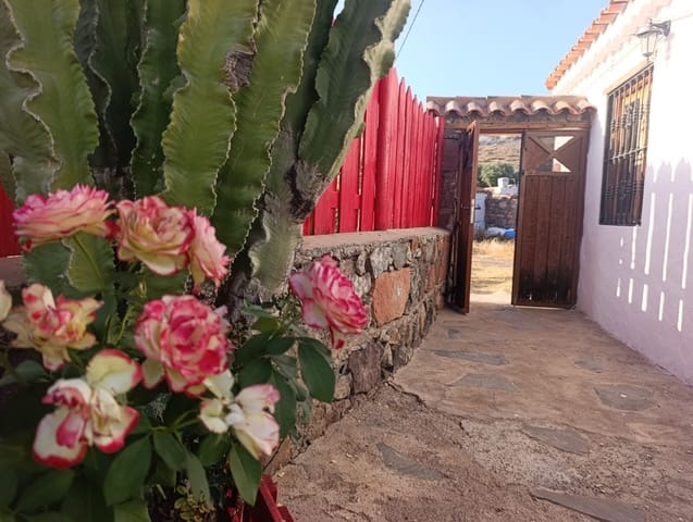 1 soveværelse Finca/Landehus til leje i Santa Lucía de Tirajana - € 950 (Ref: 9981323)