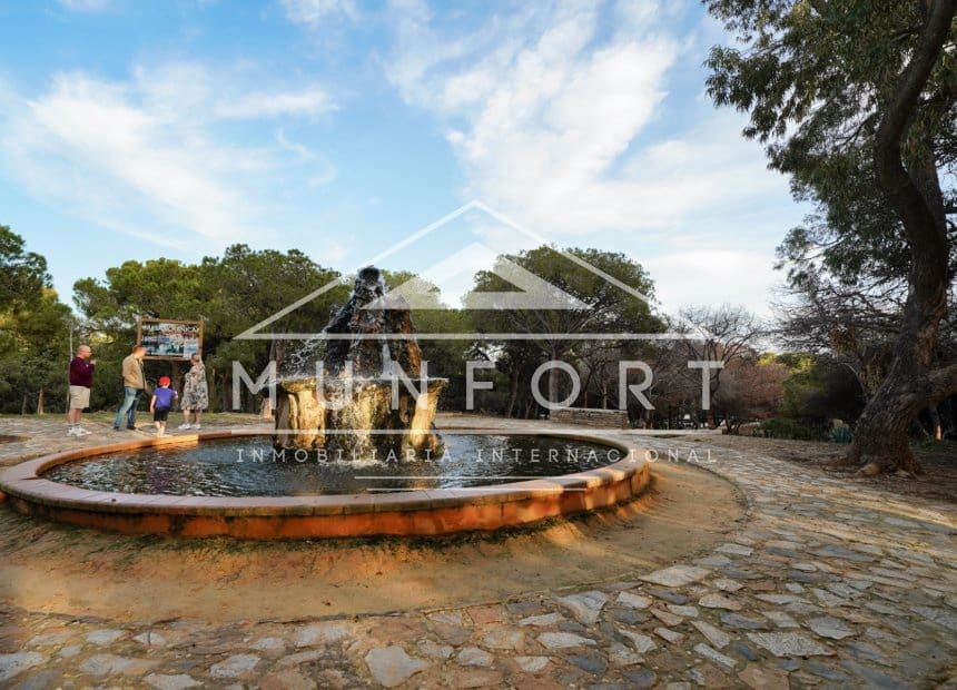 Local Comercial en Guardamar del Segura en venta - 259.000 € (Ref: 10134889)