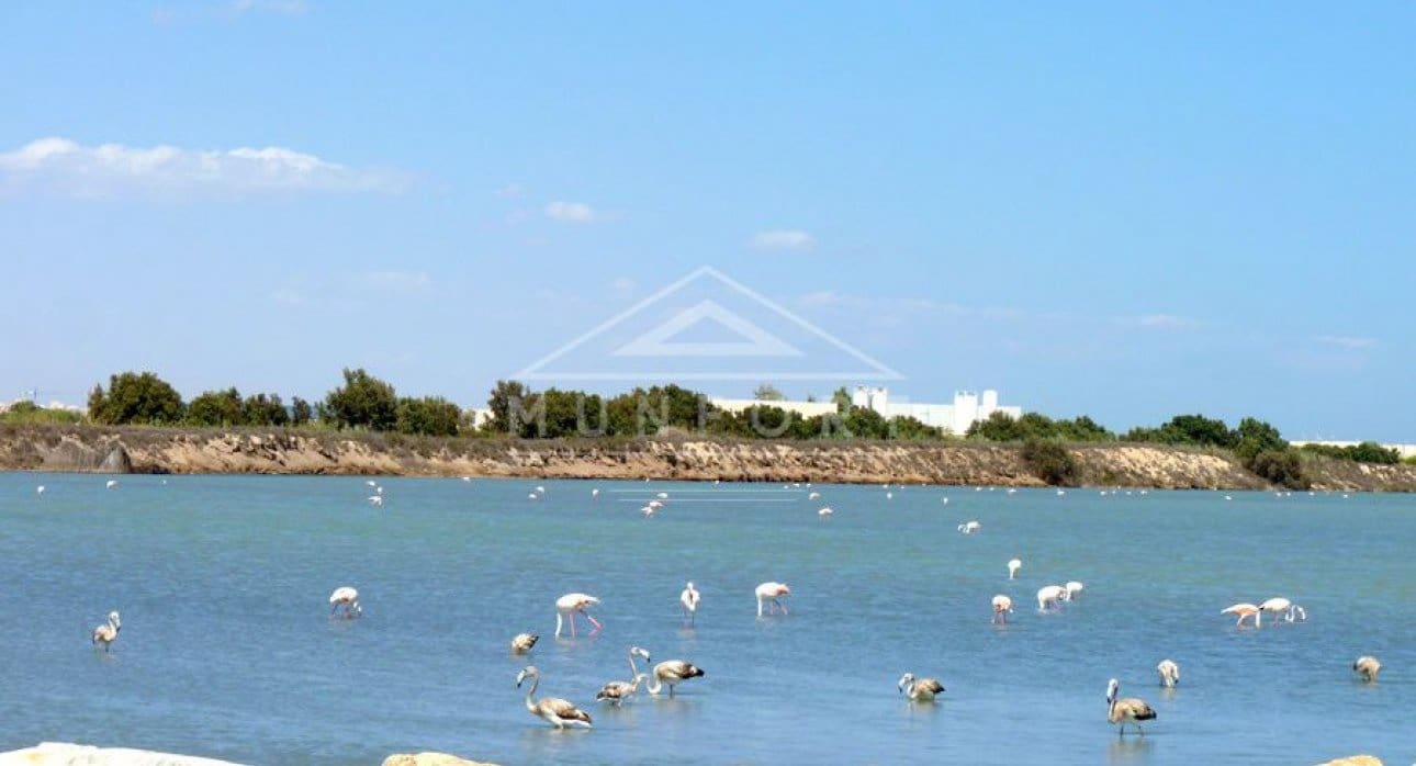 2 Zimmer Bungalow zu verkaufen in San Pedro del Pinatar mit Pool - 239.900 € (Ref: 8410747)