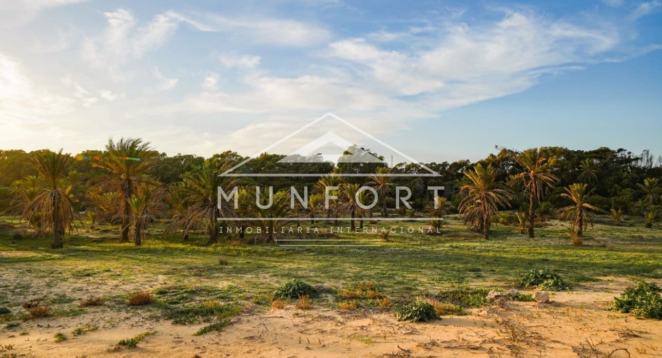 Apartamento de 2 habitaciones en Guardamar del Segura en venta con piscina - 294.000 € (Ref: 9274702)